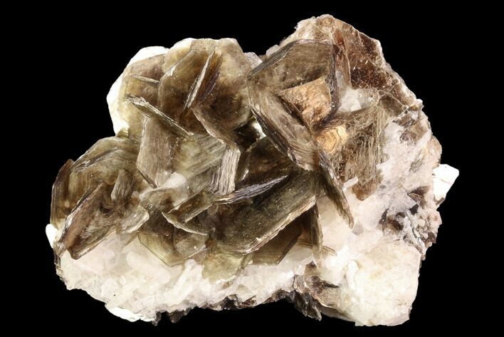 Muscovite & White Albite Crystal Association - Brazil #95575
